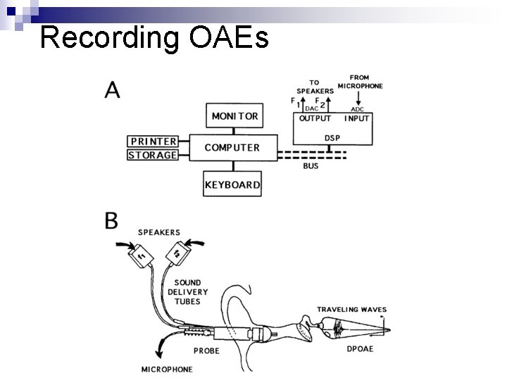Recording OAEs 