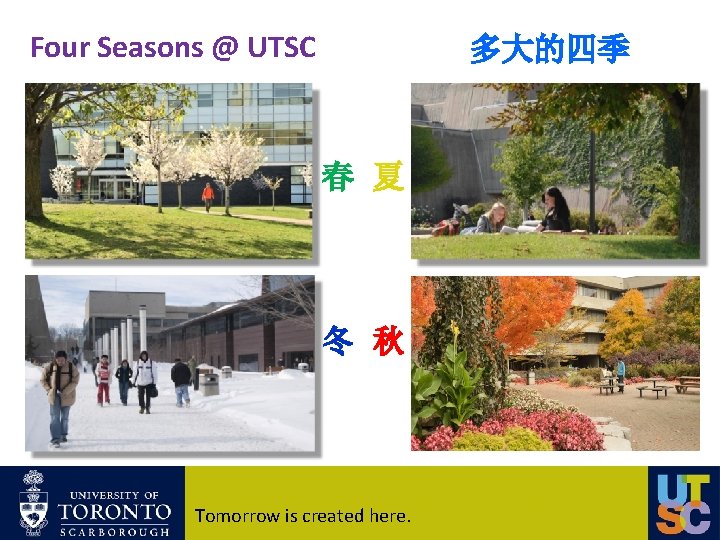 Four Seasons @ UTSC 多大的四季 春 夏 冬 秋 Tomorrow is created here. 