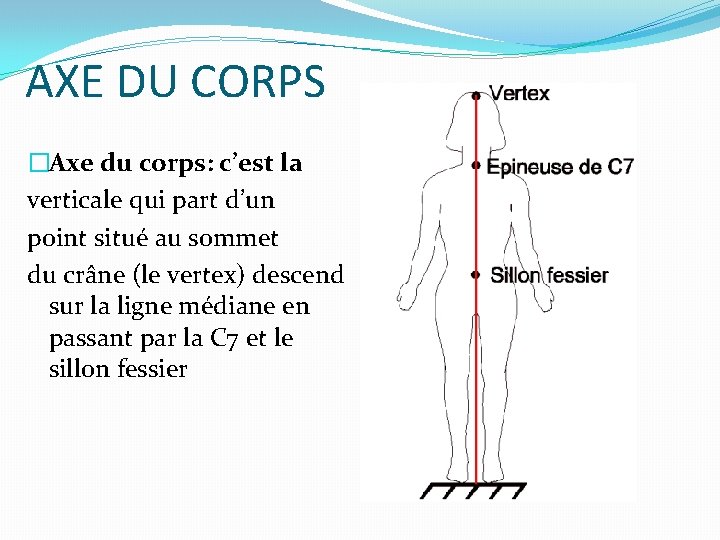 AXE DU CORPS �Axe du corps: c’est la verticale qui part d’un point situé