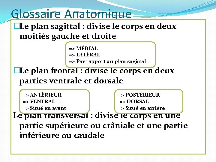 Glossaire Anatomique �Le plan sagittal : divise le corps en deux moitiés gauche et