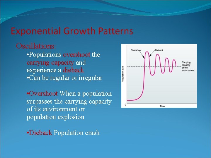 Oscillations: • Populations overshoot the carrying capacity and experience a dieback • Can be Oscillations: • Populations overshoot the carrying capacity and experience a dieback • Can be