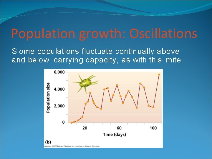 Population growth: Oscillations S ome populations fluctuate continually above and below carrying capacity, as Population growth: Oscillations S ome populations fluctuate continually above and below carrying capacity, as
