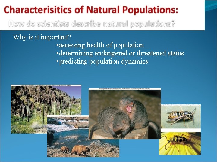 Why is it important? • assessing health of population • determining endangered or threatened Why is it important? • assessing health of population • determining endangered or threatened