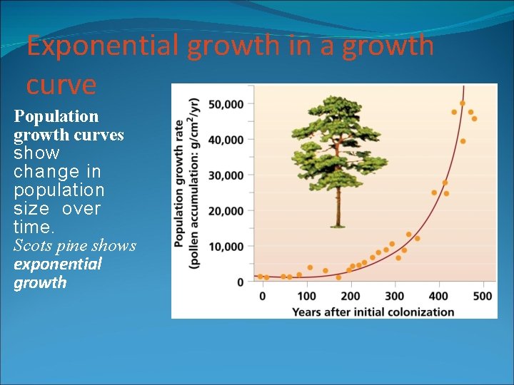 Exponential growth in a growth curve Population growth curves show change in population size Exponential growth in a growth curve Population growth curves show change in population size