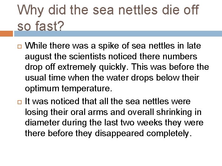 Why did the sea nettles die off so fast? While there was a spike