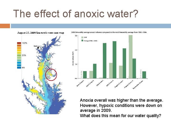 The effect of anoxic water? Anoxia overall was higher than the average. However, hypoxic