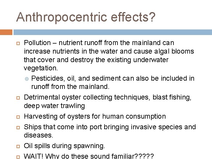 Anthropocentric effects? Pollution – nutrient runoff from the mainland can increase nutrients in the