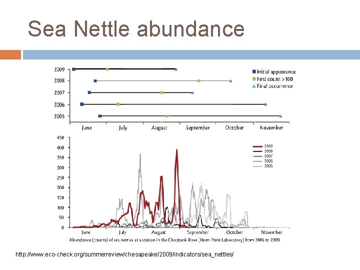 Sea Nettle abundance http: //www. eco-check. org/summerreview/chesapeake/2009/indicators/sea_nettles/ 