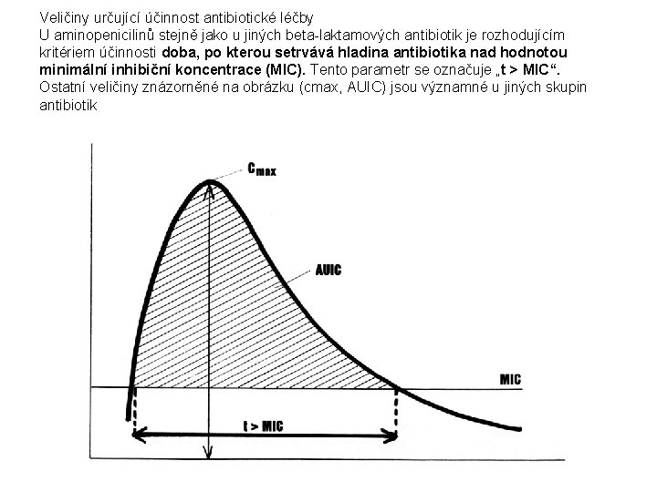 Veličiny určující účinnost antibiotické léčby U aminopenicilinů stejně jako u jiných beta-laktamových antibiotik je