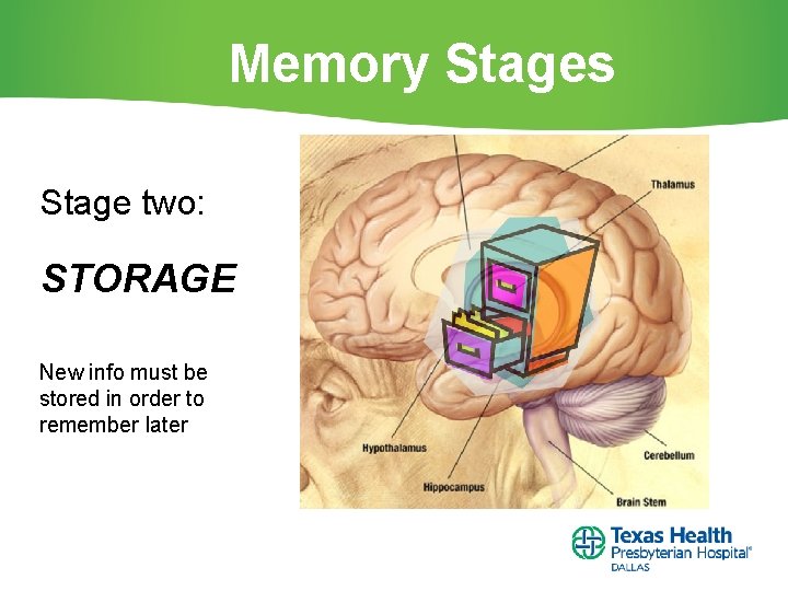 Memory Stages Stage two: STORAGE New info must be stored in order to remember