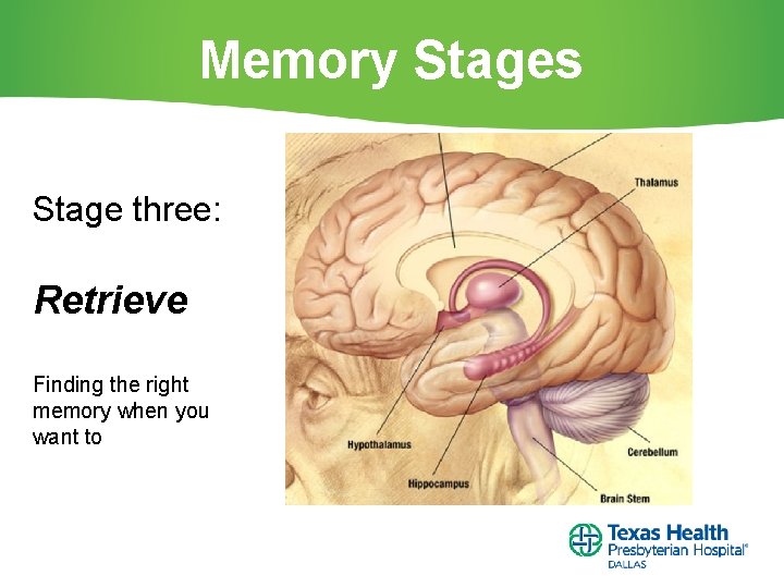 Memory Stages Stage three: Retrieve Finding the right memory when you want to 