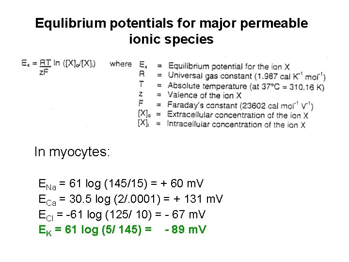 Equlibrium potentials for major permeable ionic species In myocytes: ENa = 61 log (145/15)