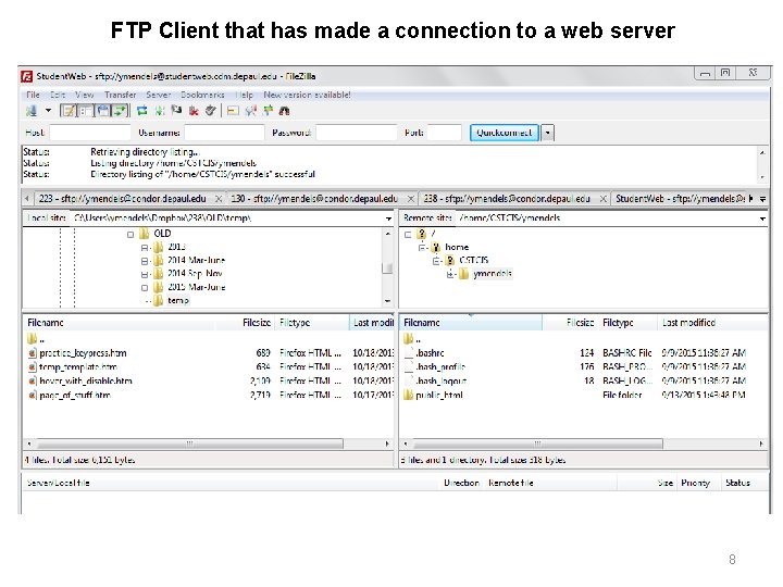FTP Client that has made a connection to a web server 8 