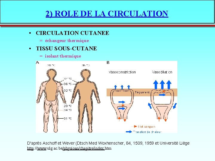 2) ROLE DE LA CIRCULATION • CIRCULATION CUTANEE = échangeur thermique • TISSU SOUS-CUTANE