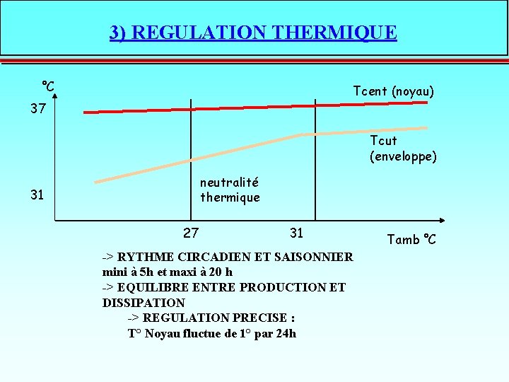 3) REGULATION THERMIQUE °C Tcent (noyau) 37 Tcut (enveloppe) neutralité thermique 31 27 31