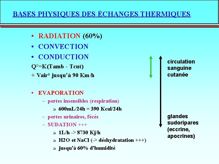 BASES PHYSIQUES DES ÉCHANGES THERMIQUES • RADIATION (60%) • CONVECTION • CONDUCTION Q°=K(Tamb -