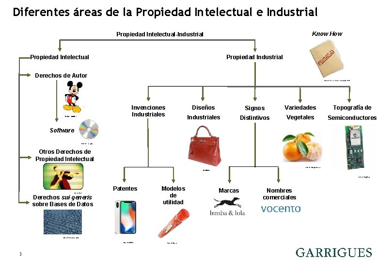 Diferentes áreas de la Propiedad Intelectual e Industrial OTRAS MARCAS / OTHER LOGOS Know