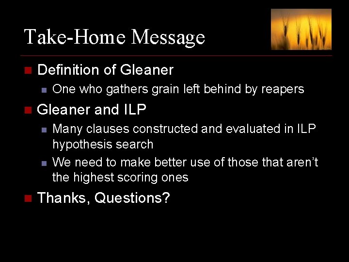 Take-Home Message n Definition of Gleaner n n Gleaner and ILP n n n