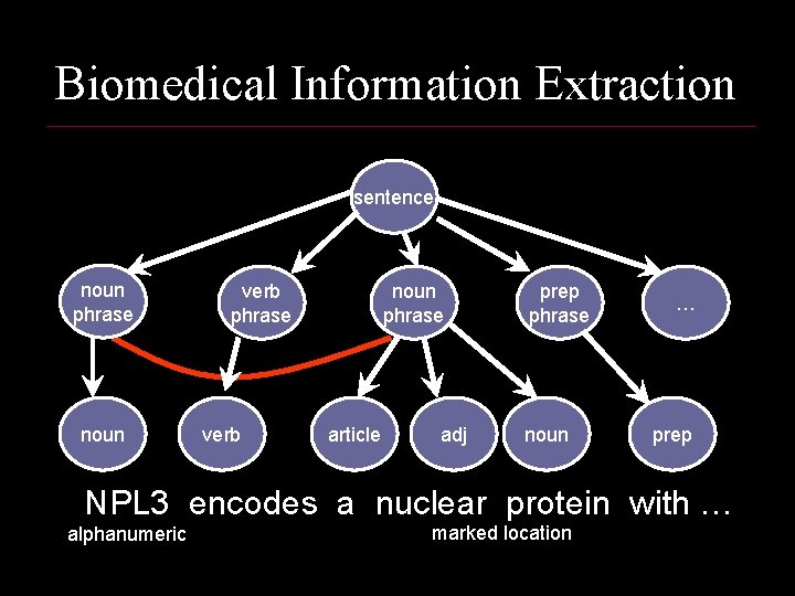 Biomedical Information Extraction sentence noun phrase noun verb phrase verb noun phrase article adj