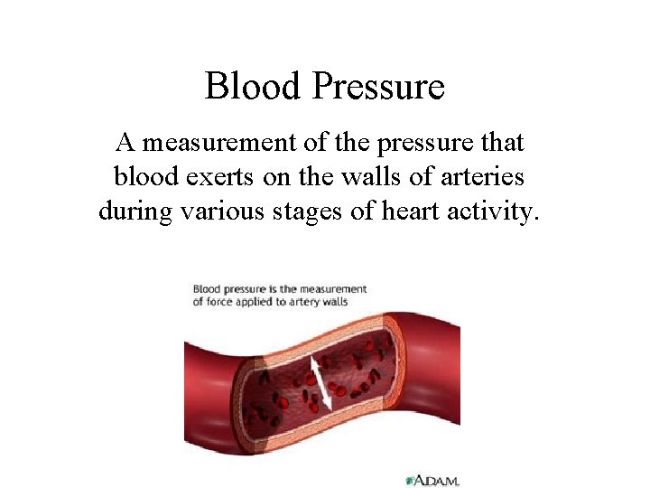 Blood Pressure A measurement of the pressure that blood exerts on the walls of
