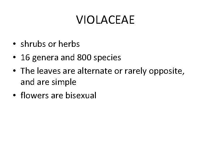 VIOLACEAE • shrubs or herbs • 16 genera and 800 species • The leaves