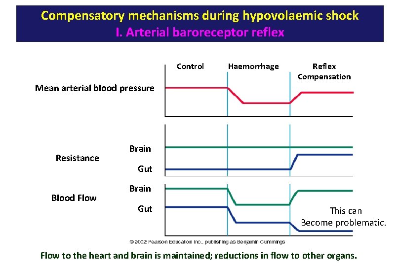 Compensatory mechanisms during hypovolaemic shock I. Arterial baroreceptor reflex Control Mean arterial blood pressure