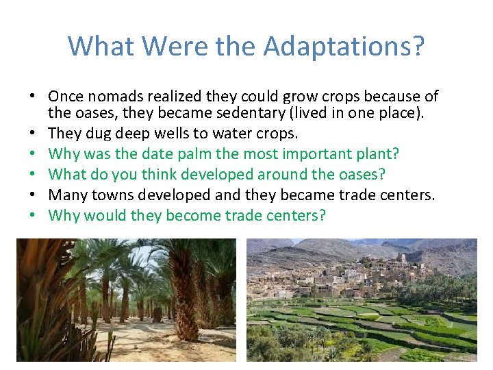 What Were the Adaptations? • Once nomads realized they could grow crops because of