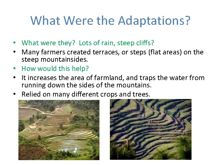 What Were the Adaptations? • What were they? Lots of rain, steep cliffs? •
