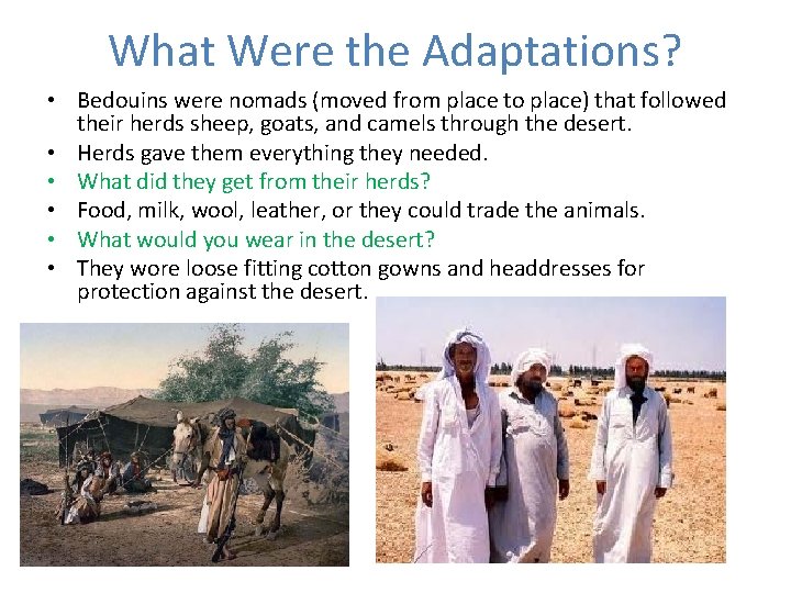 What Were the Adaptations? • Bedouins were nomads (moved from place to place) that