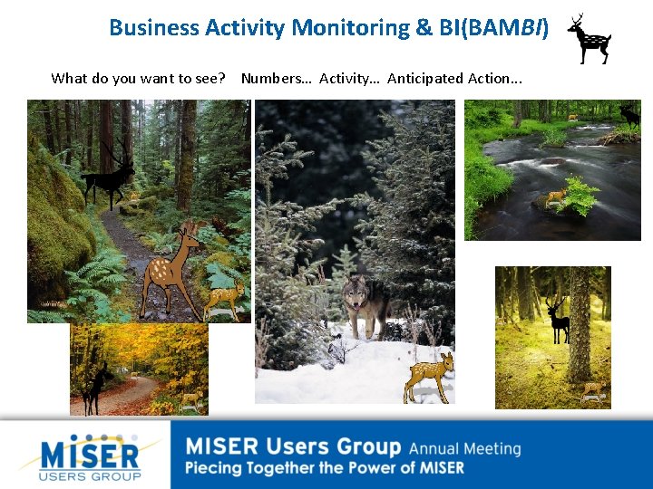 Business Activity Monitoring & BI(BAMBI) What do you want to see? Numbers… Activity… Anticipated