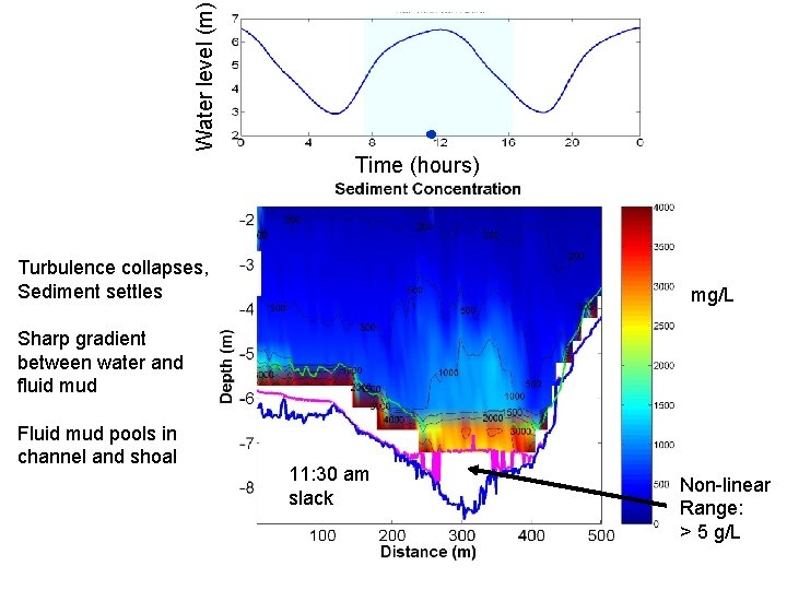 Water level (m) Time (hours) Turbulence collapses, Sediment settles mg/L Sharp gradient between water