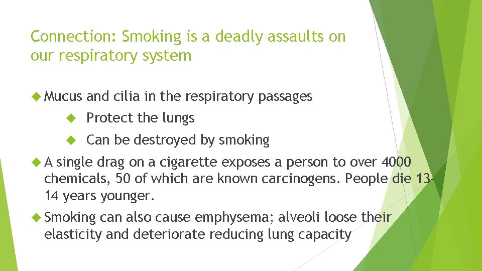 Connection: Smoking is a deadly assaults on our respiratory system Mucus and cilia in