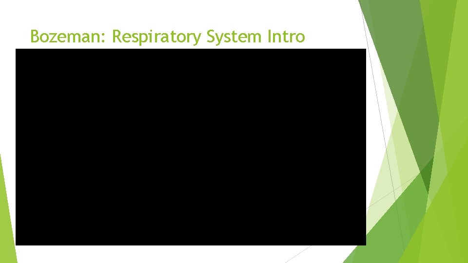 Bozeman: Respiratory System Intro 