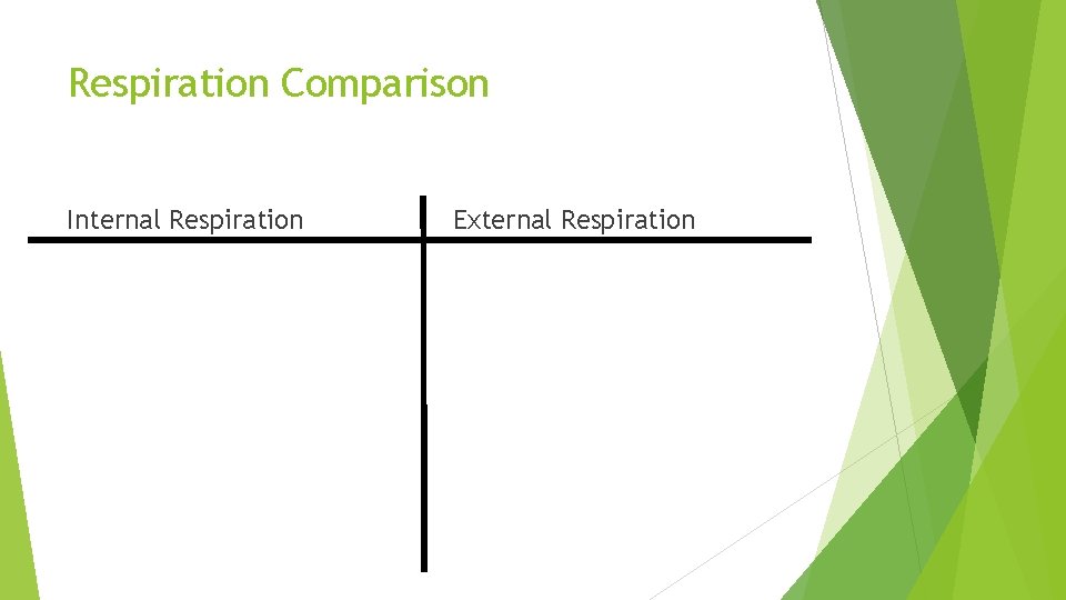 Respiration Comparison Internal Respiration External Respiration 