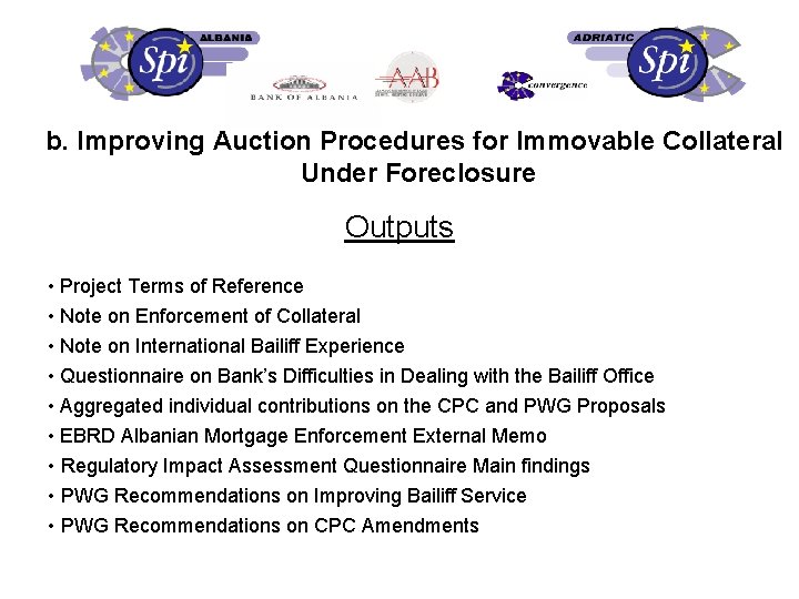 b. Improving Auction Procedures for Immovable Collateral Under Foreclosure Outputs • Project Terms of