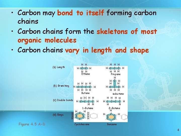  • Carbon may bond to itself forming carbon chains • Carbon chains form