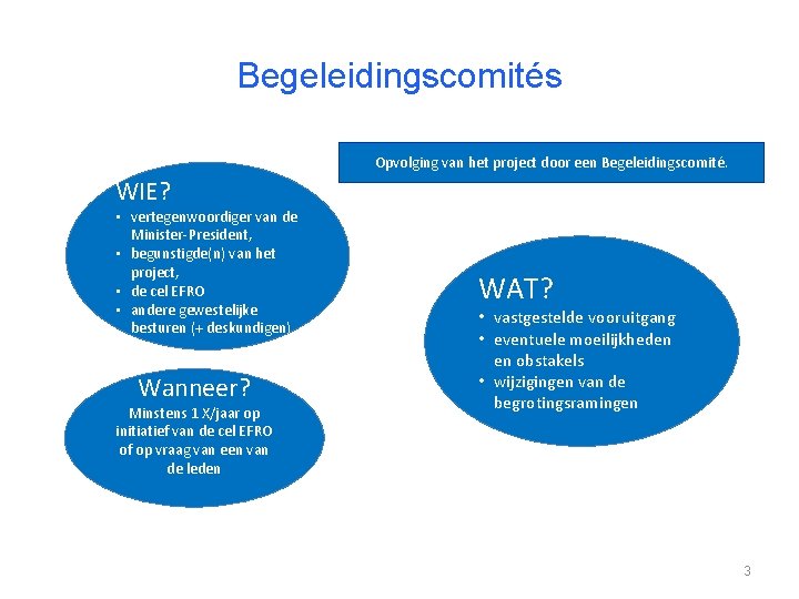 Begeleidingscomités Opvolging van het project door een Begeleidingscomité. WIE? • vertegenwoordiger van de Minister-President,