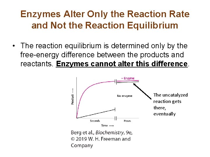 Chapter 8 Enzymes Basic Concepts and 2019
