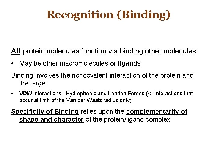 Recognition (Binding) All protein molecules function via binding other molecules • May be other