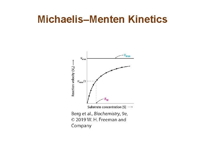 Michaelis–Menten Kinetics 