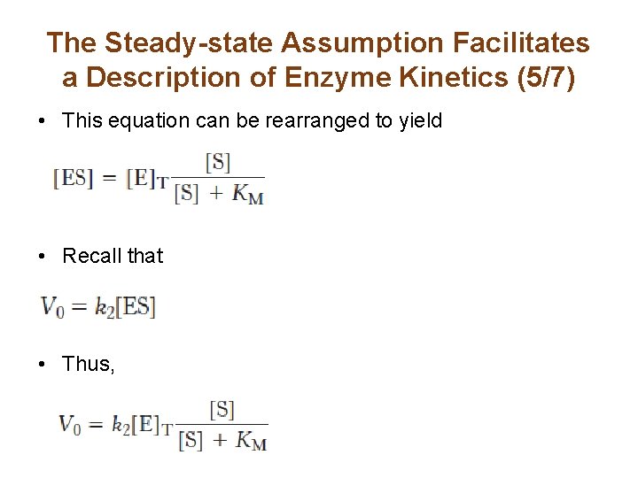 The Steady-state Assumption Facilitates a Description of Enzyme Kinetics (5/7) • This equation can