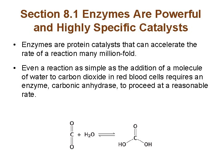 Chapter 8 Enzymes Basic Concepts and 2019