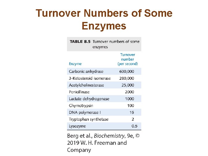 Turnover Numbers of Some Enzymes 