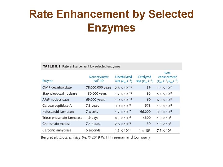 Rate Enhancement by Selected Enzymes 