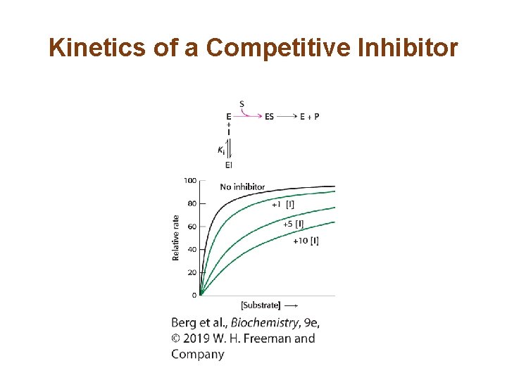 Kinetics of a Competitive Inhibitor 