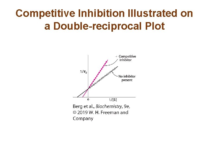 Competitive Inhibition Illustrated on a Double-reciprocal Plot 