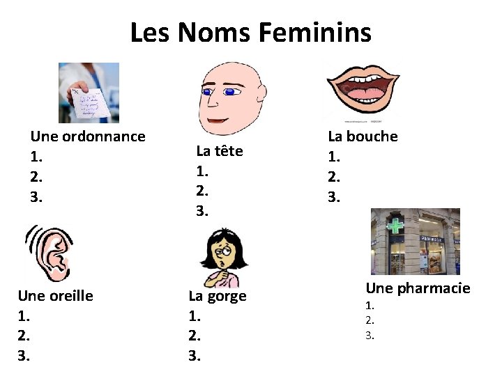 Les Noms Feminins Une ordonnance 1. 2. 3. Une oreille 1. 2. 3. La