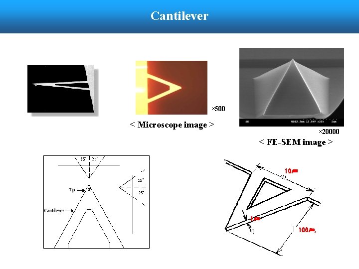 Cantilever × 500 < Microscope image > × 20000 < FE-SEM image > 10㎛