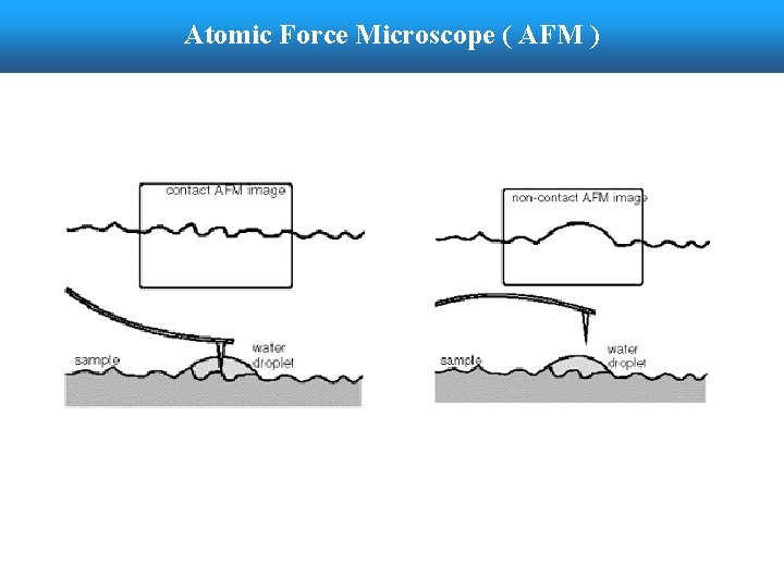 Atomic Force Microscope ( AFM ) 