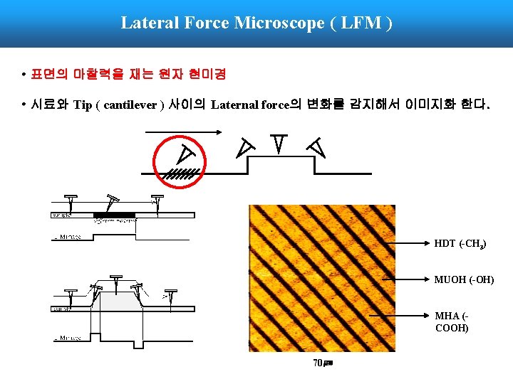 Lateral Force Microscope ( LFM ) • 표면의 마찰력을 재는 원자 현미경 • 시료와